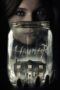 gBsO7Sp3g1oOaxQ44pomsJLm7m7 Watch Haunter (2013) Streaming