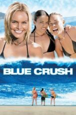 Watch Blue Crush (2002) Streaming