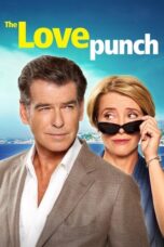 Watch The Love Punch (2014) Streaming
