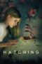 Watch Hatching (2022) Streaming