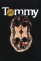 Watch Tommy (1975) Streaming
