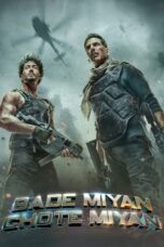 Watch Bade Miyan Chote Miyan Streaming