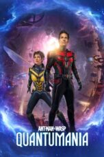 Watch Ant-Man and the Wasp: Quantumania Streaming