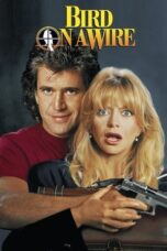 Watch Bird on a Wire (1990) Streaming