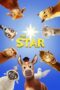 Watch The Star (2017) Streaming