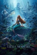 Watch The Little Mermaid (2023) Streaming