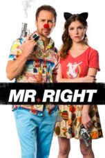 Watch Mr. Right (2016) Streaming