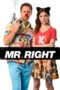 Watch Mr. Right (2016) Streaming