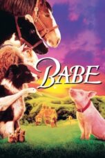 Watch Babe (1995) Streaming