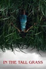 Watch In the Tall Grass (2019) Streaming