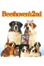Watch Beethoven’s 2nd (1993) Streaming
