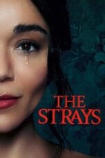 Watch The Strays (2023) Streaming