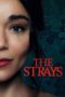 Watch The Strays (2023) Streaming