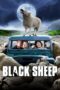 Watch Black Sheep (2007) Streaming