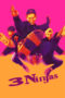 Watch 3 Ninjas (1992) Streaming