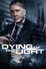 Watch Dying of the Light (2014) Streaming