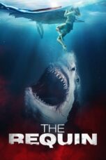Watch The Requin (2022) Streaming