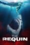 Watch The Requin (2022) Streaming