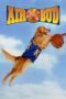 Watch Air Bud (1997) Streaming