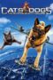 Watch Cats & Dogs: The Revenge of Kitty Galore Streaming
