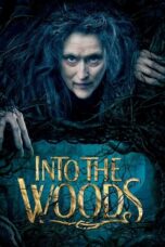 Watch Into the Woods (2014) Streaming