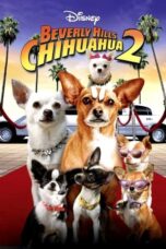 Watch Beverly Hills Chihuahua 2 Streaming