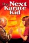 Watch The Next Karate Kid (1994) Streaming