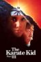 Watch The Karate Kid Part 3 Streaming