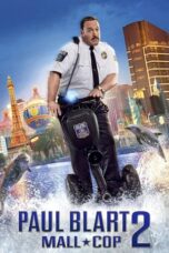 Watch Paul Blart: Mall Cop 2 (2015) Streaming