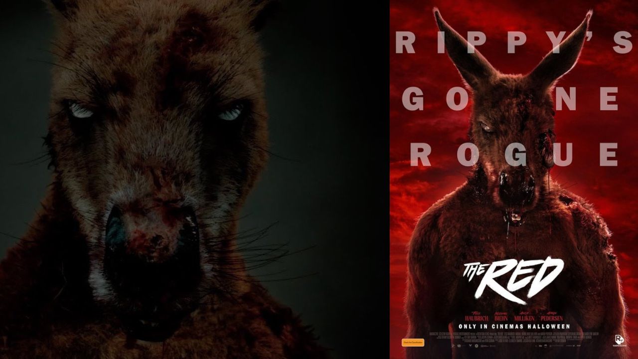 Watch Rippy (2024) Movie Trailer Review: The Zombie Kangaroo Horror-Comedy You Didn’t Know You Needed Streaming