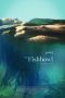 Watch Where to Watch: The Fishbowl (2023) Streaming