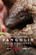 Watch Where to Watch Pangolin: Kulu’s Journey (2025) Streaming