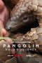 Watch Where to Watch Pangolin: Kulu’s Journey (2025) Streaming