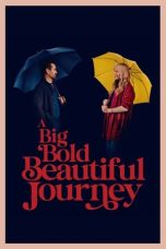 Watch Where to Watch A Big Bold Beautiful Journey (2025) Streaming