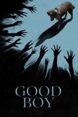 Watch Where to Watch Good Boy (2025) Streaming