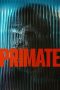 Watch Where to Watch Primate (2026) Streaming